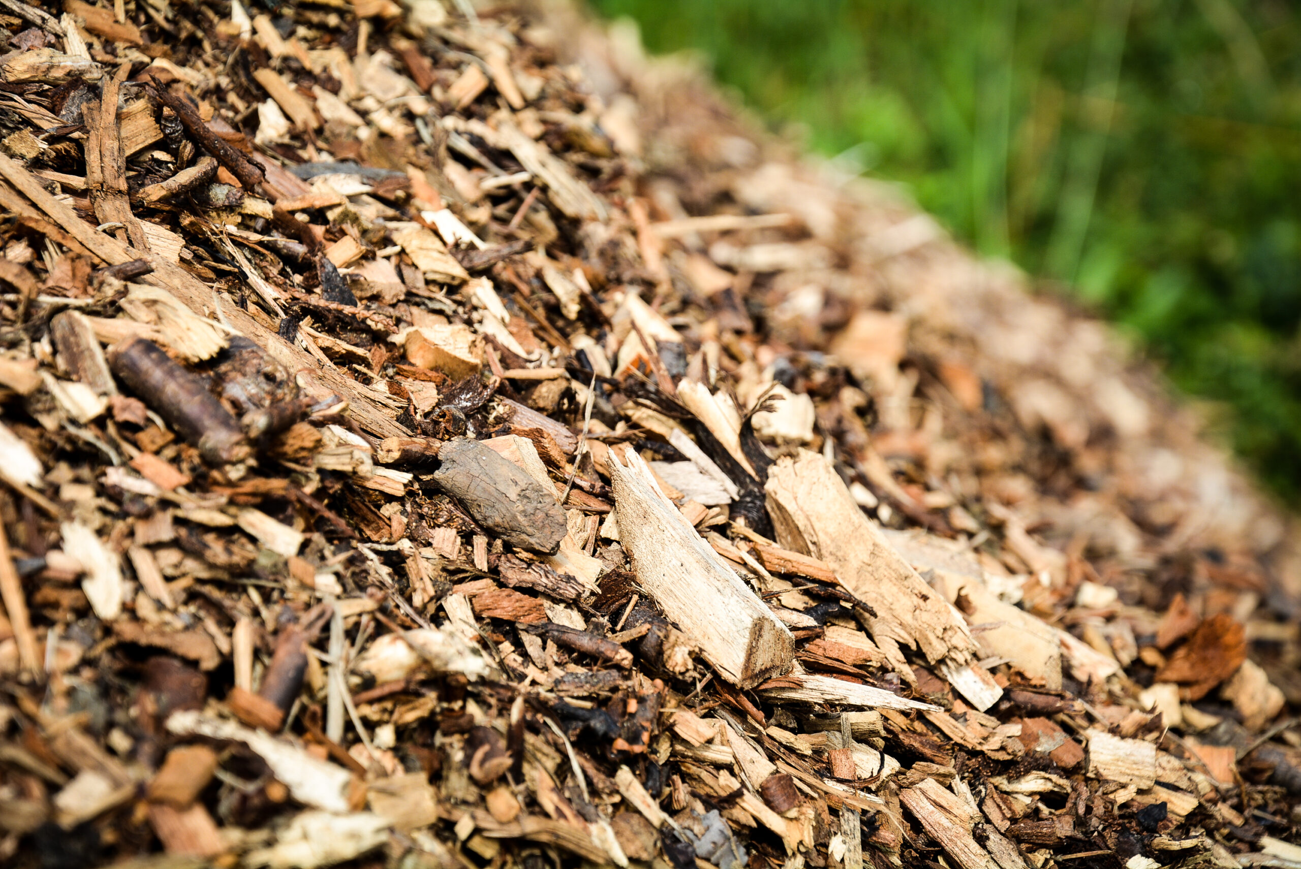 Wood-Chippings-2